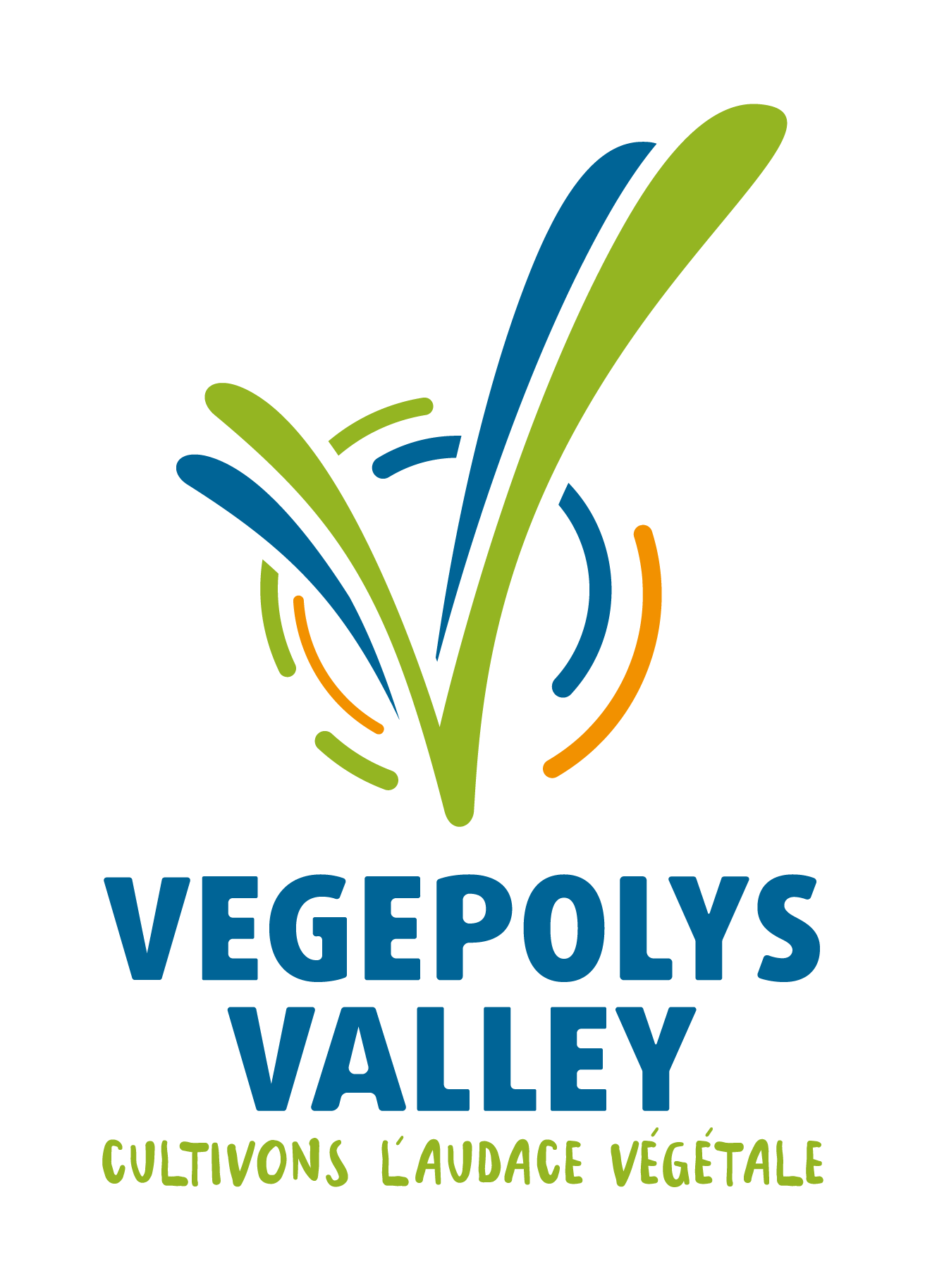 vegepolys valley logo verticale rvb