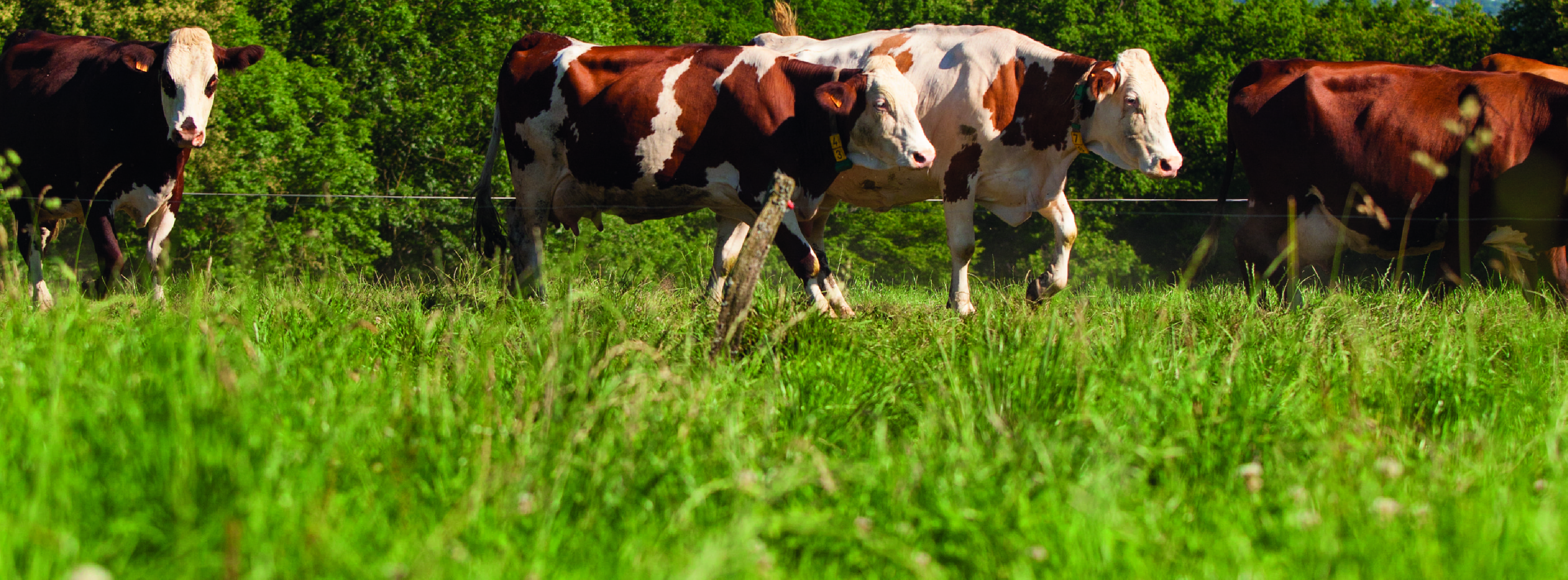 Bandeau 851X315 Gestion Technico Economique